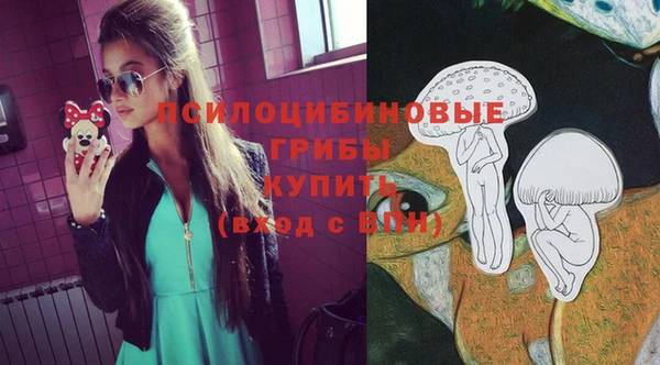 ECSTASY Нефтекумск