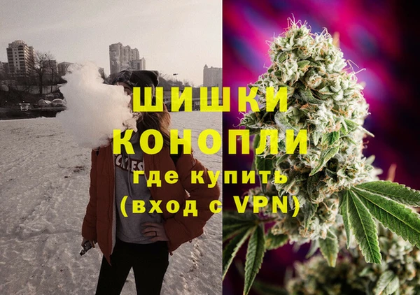 spice Алзамай