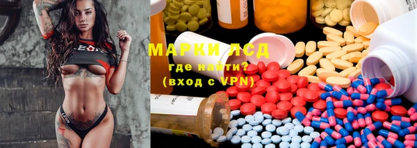 гидра Няндома