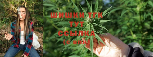 каннабис Алексин