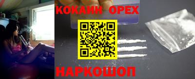 крисы Камышлов