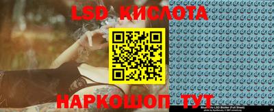 крисы Камышлов