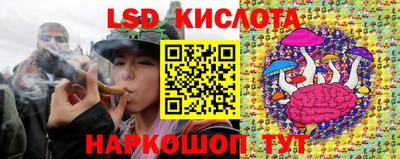 крисы Камышлов