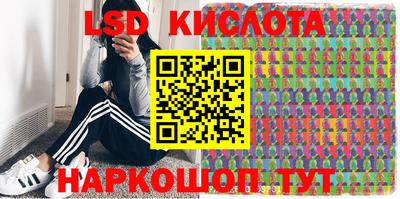 трава Кандалакша