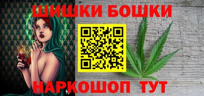 крисы Камышлов
