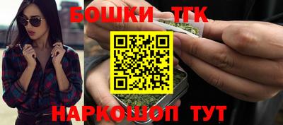 крисы Камышлов