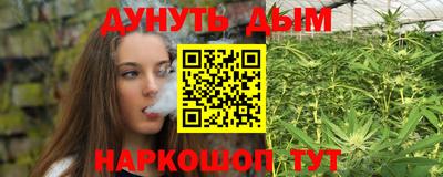 крисы Камышлов