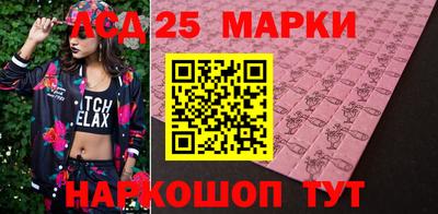 крисы Камышлов
