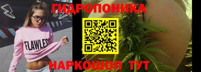 трава Кандалакша