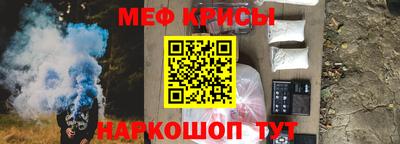 крисы Камышлов
