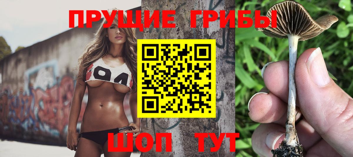 Псилоцибиновые грибы MAGIC MUSHROOMS Крымск